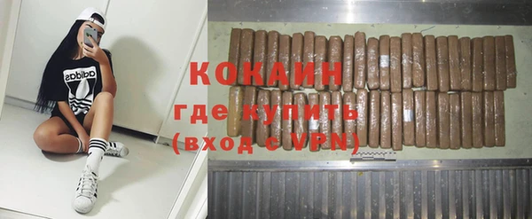 дмт Осинники