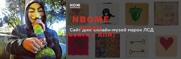 гашик Осташков