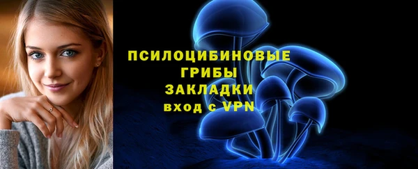 шишки Остров