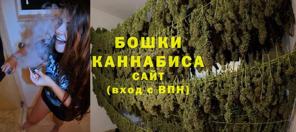 гашик Осташков