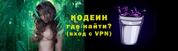 дмт Осинники