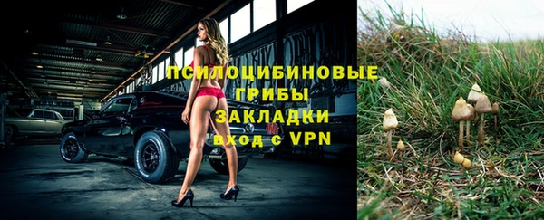 гашик Осташков