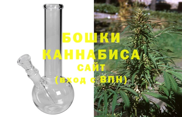 дмт Осинники