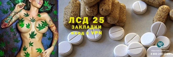 гашик Осташков