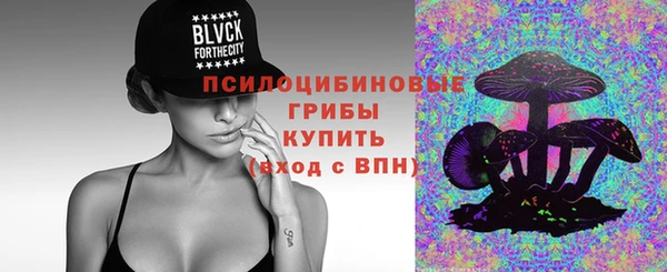 гашик Осташков