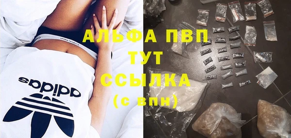 гашик Осташков