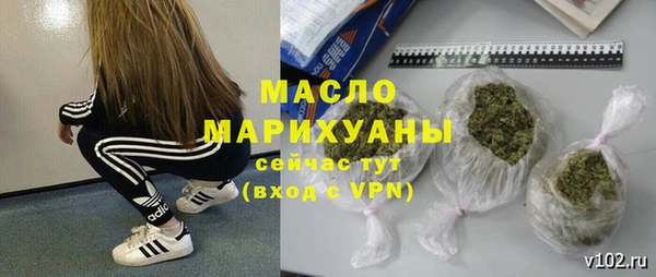 дмт Осинники