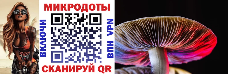Галлюциногенные грибы мухоморы Сыктывкар