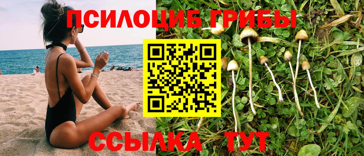 магазин    Вход с VPN  Сыктывкар  Псилоцибиновые грибы GOLDEN TEACHER 